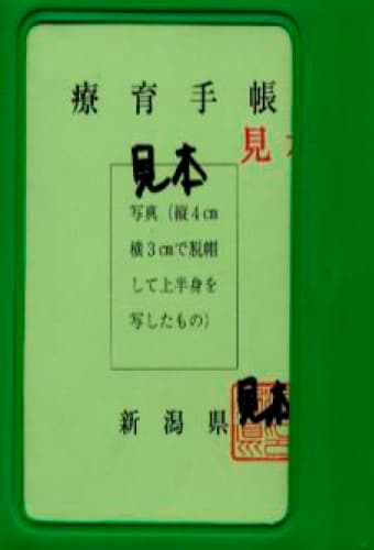 療育手帳 見本写真